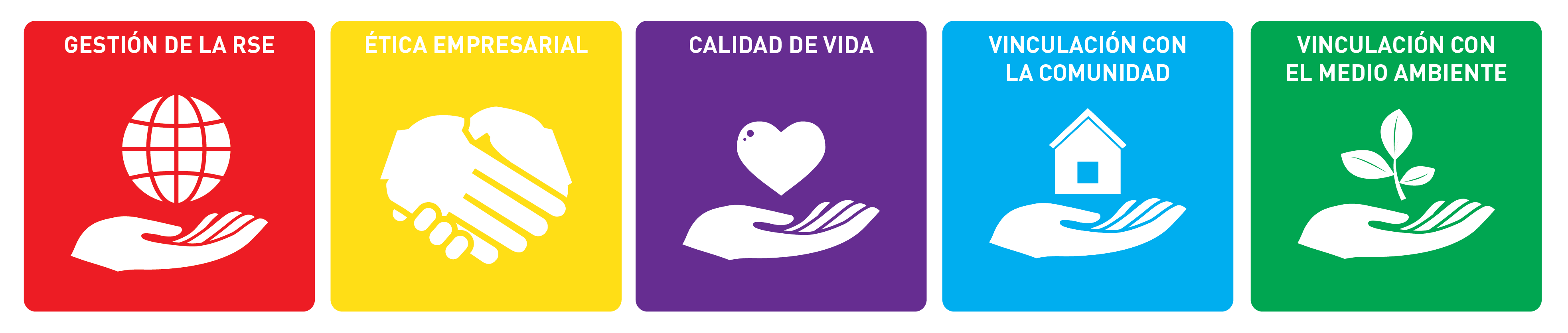 Iconos RSE AIS